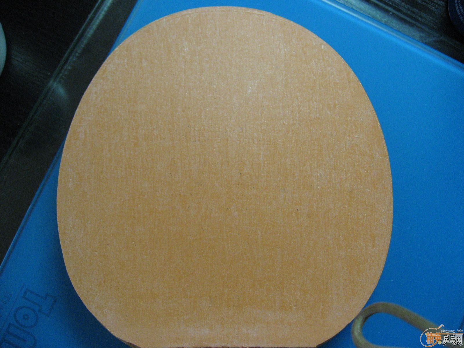 ��һ֧���µ�Nittaku��manchester-FL(��ľ-FL)