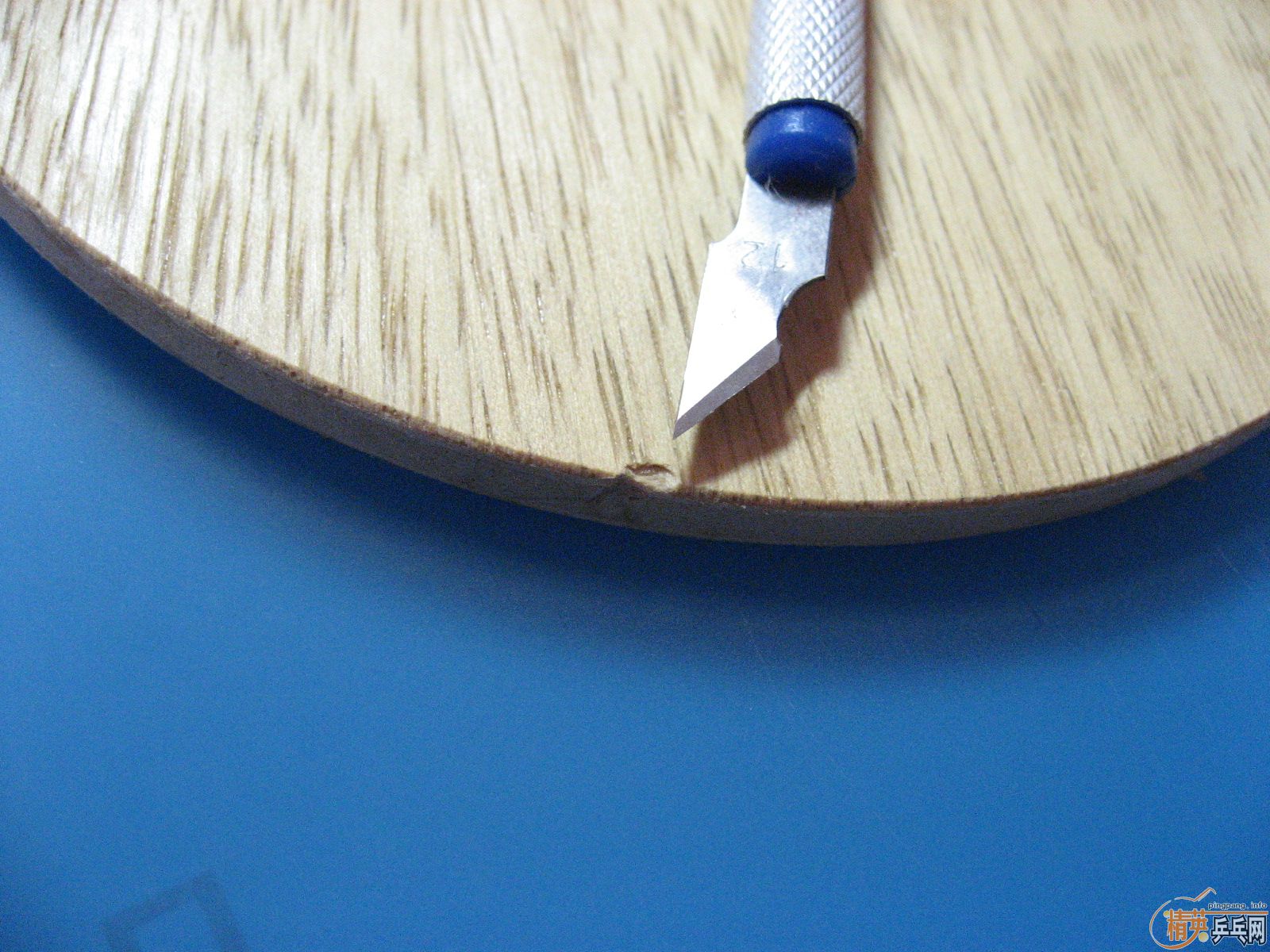 ��һ֧���µ�Nittaku��manchester-FL(��ľ-FL)