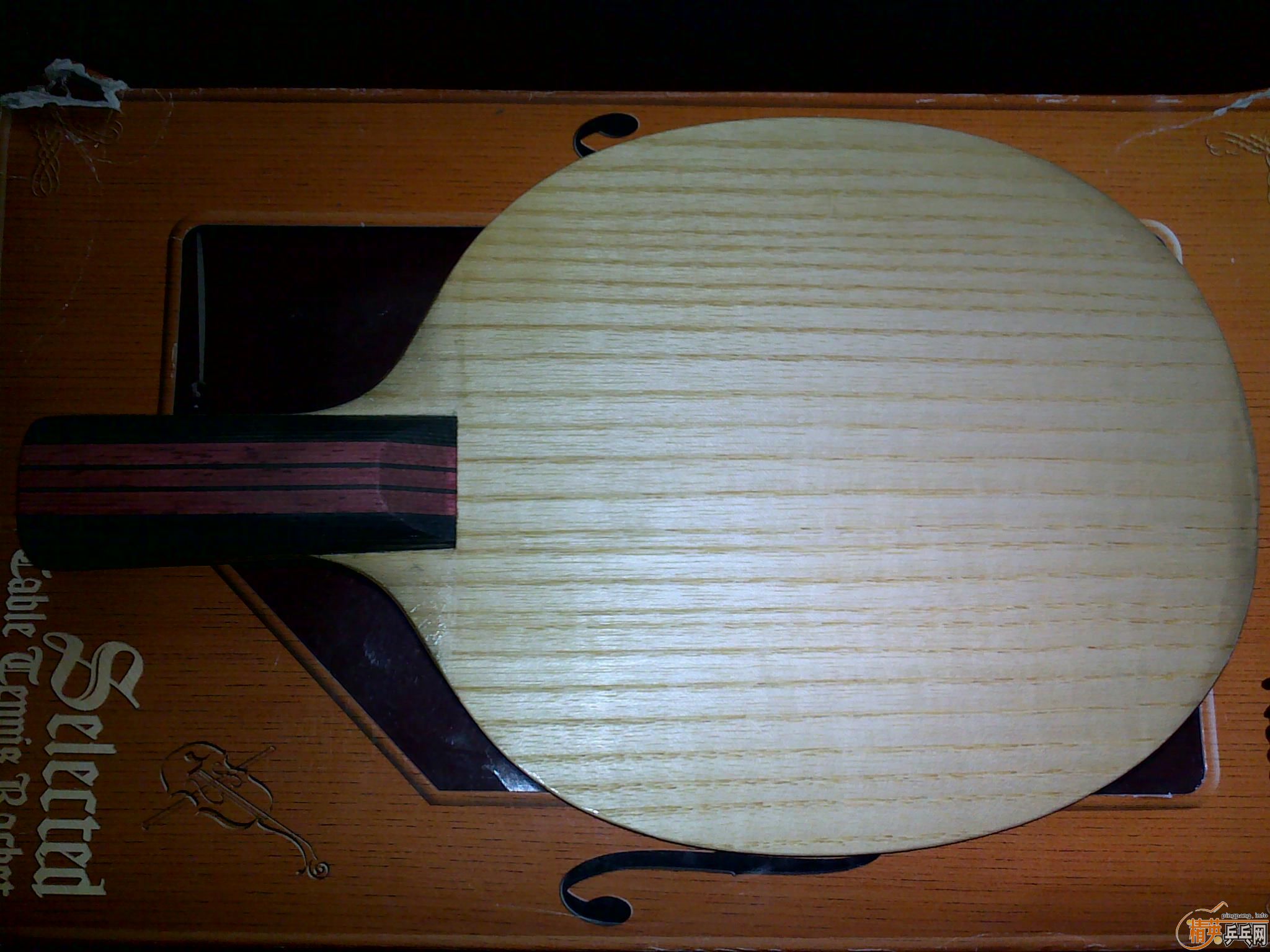 ����9���ϱ���С����