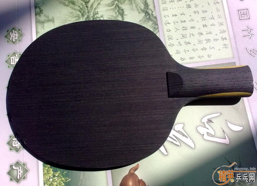 ����ʮ��һ�����Ǳ�棩