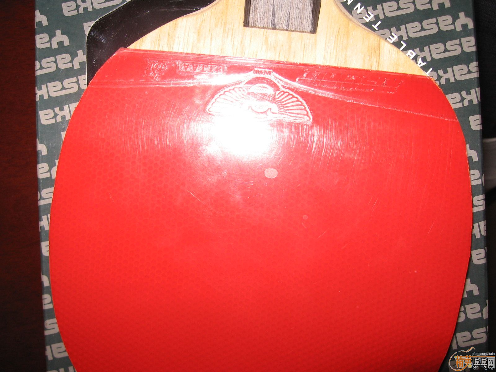 ת������̼