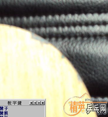 �����������׽����װ壬֧�������ס�