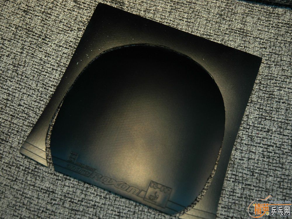 9.5��ROXON500    9.5��ROXON450     9.5��SRIVER EL2.1     9���µ�TACKFIRE-C        ���õĽ�Ƥ��һЩ�µĳ����ˣ��ﾡ����