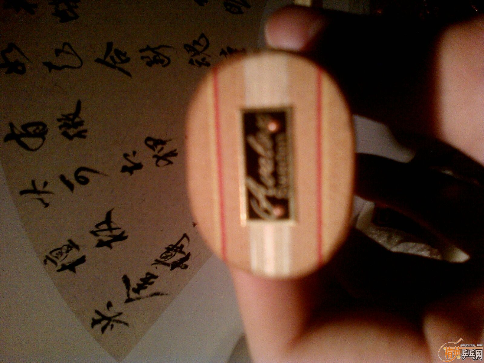 ������Ƭ