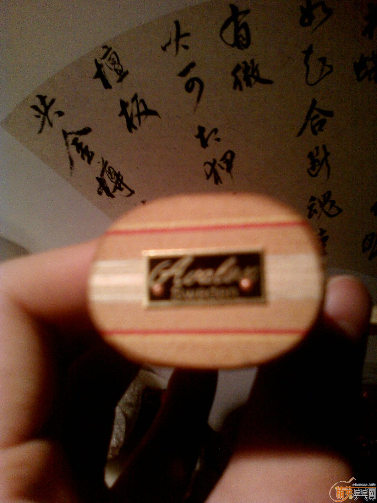 ������Ƭ