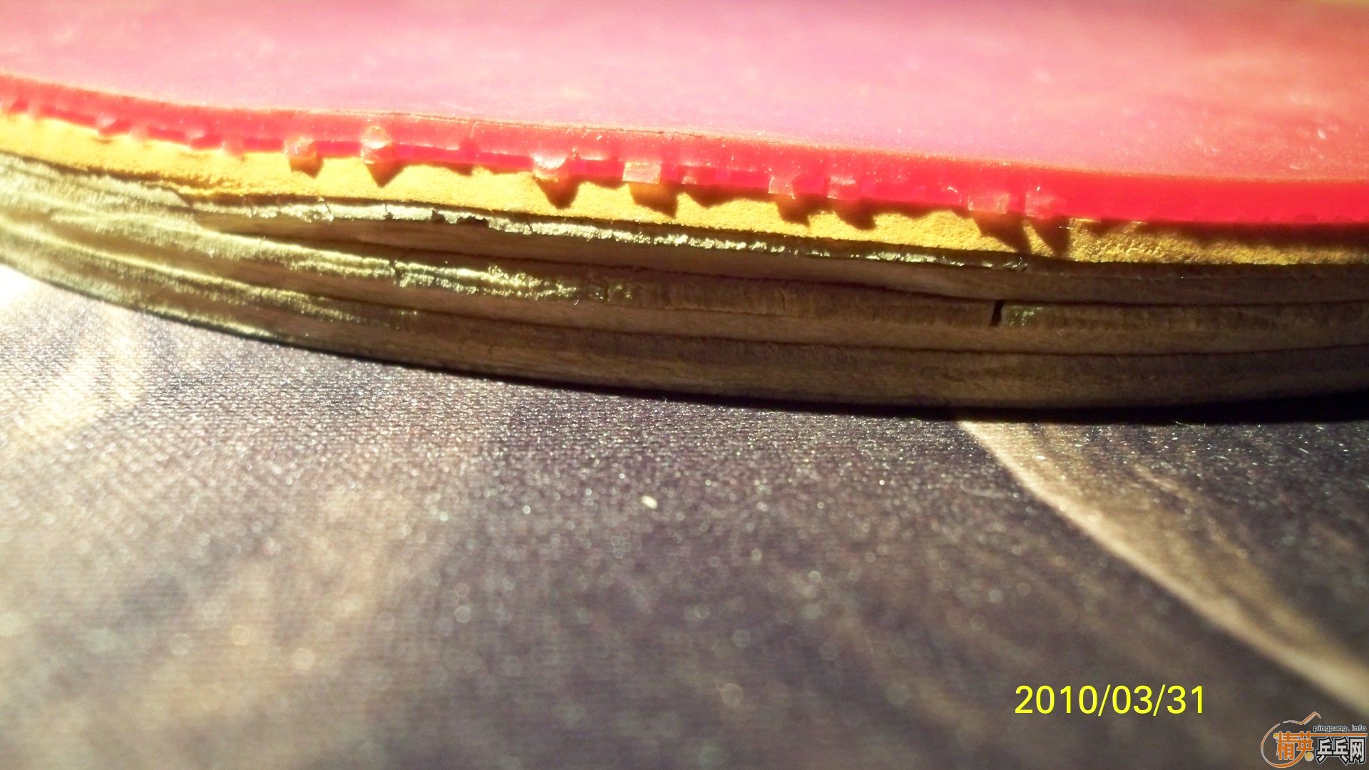 �����ɼ��������˹ �����������ϰ���,�ʺ��ղ�! 50Ԫһ��