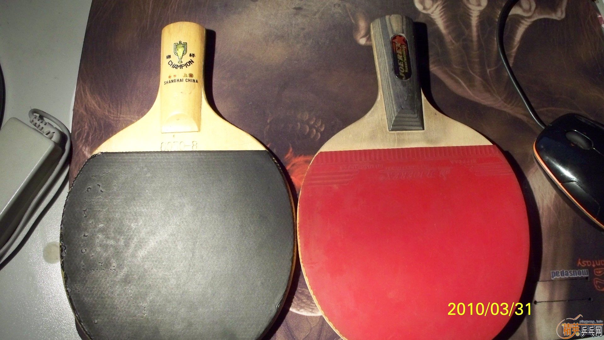 �����ɼ��������˹ �����������ϰ���,�ʺ��ղ�! 50Ԫһ��