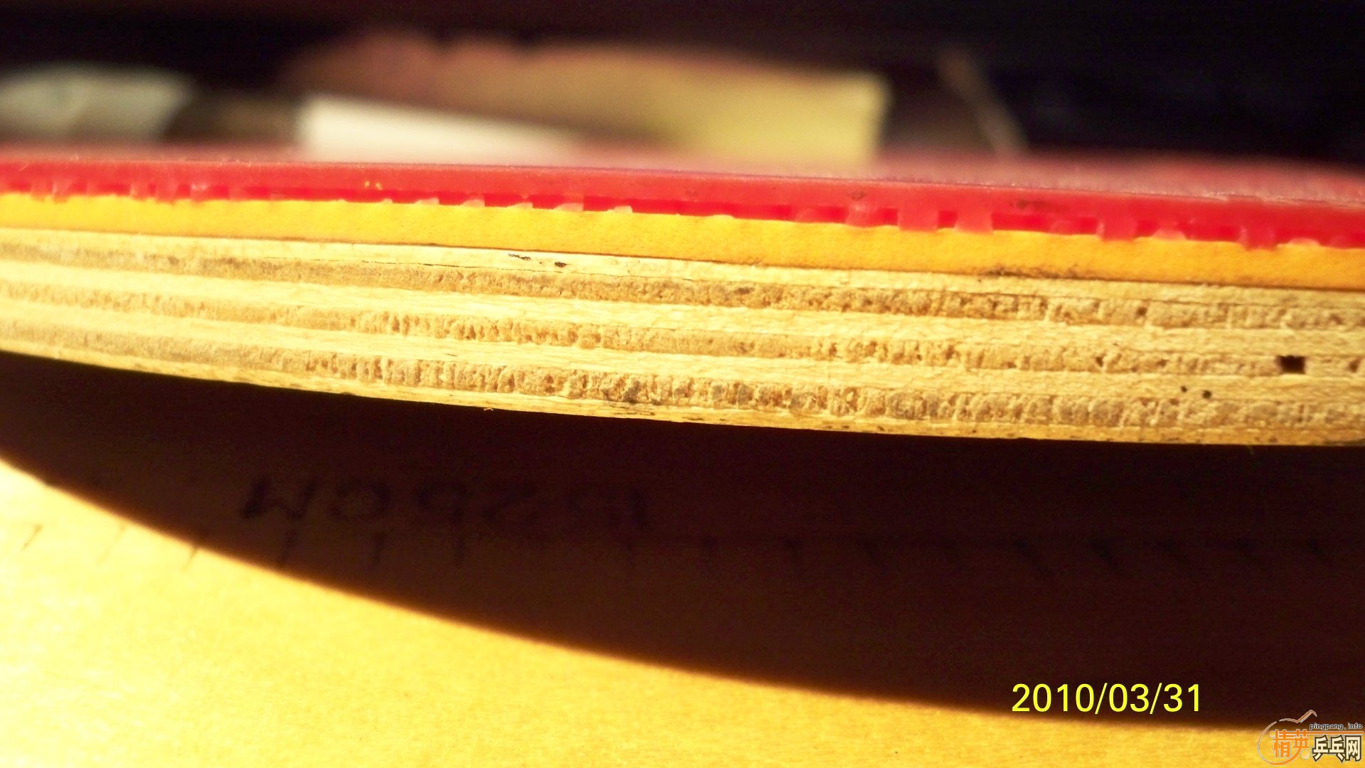 �����ɼ��������˹ �����������ϰ���,�ʺ��ղ�! 50Ԫһ��