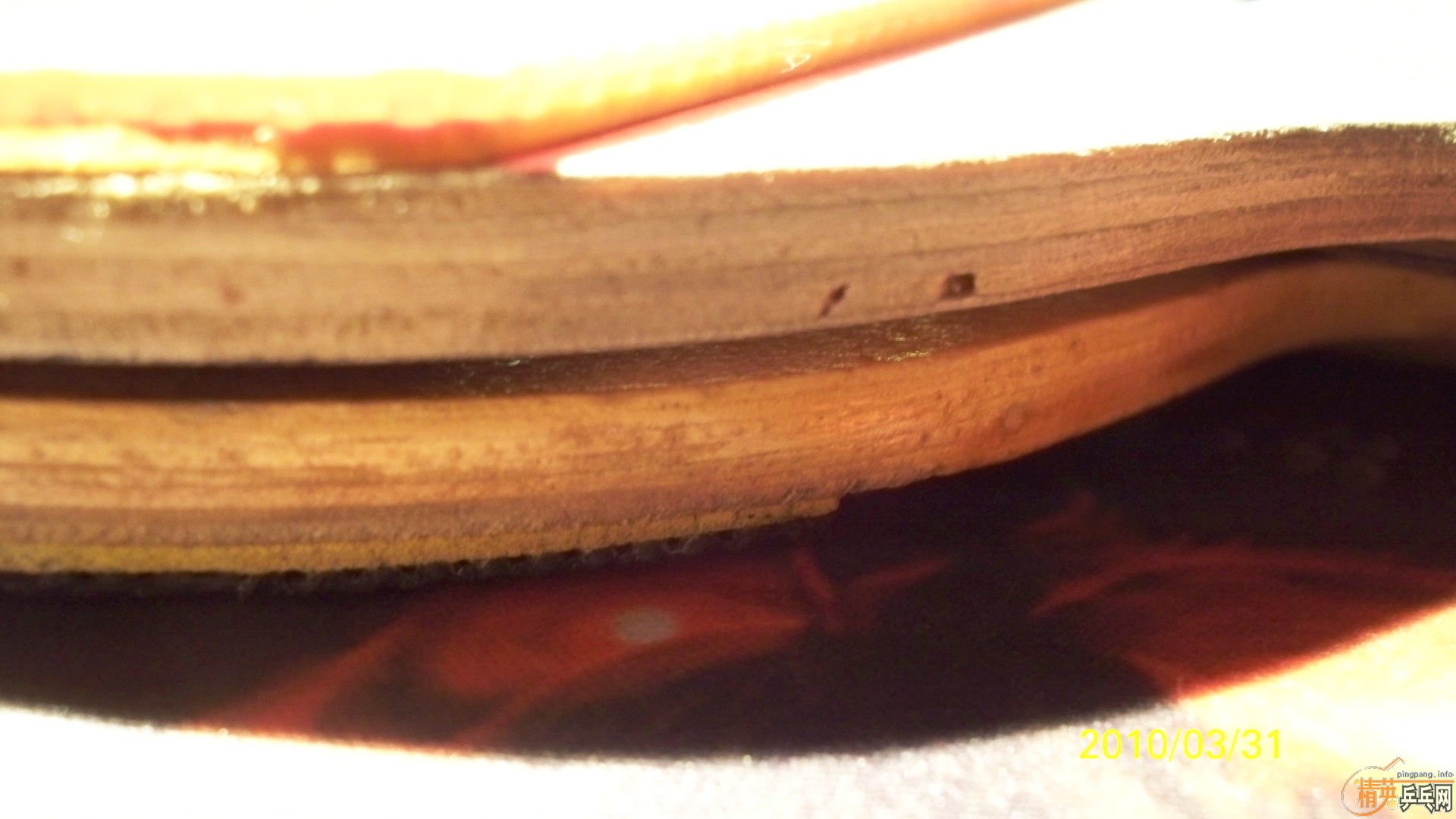 �����ɼ��������˹ �����������ϰ���,�ʺ��ղ�! 50Ԫһ��