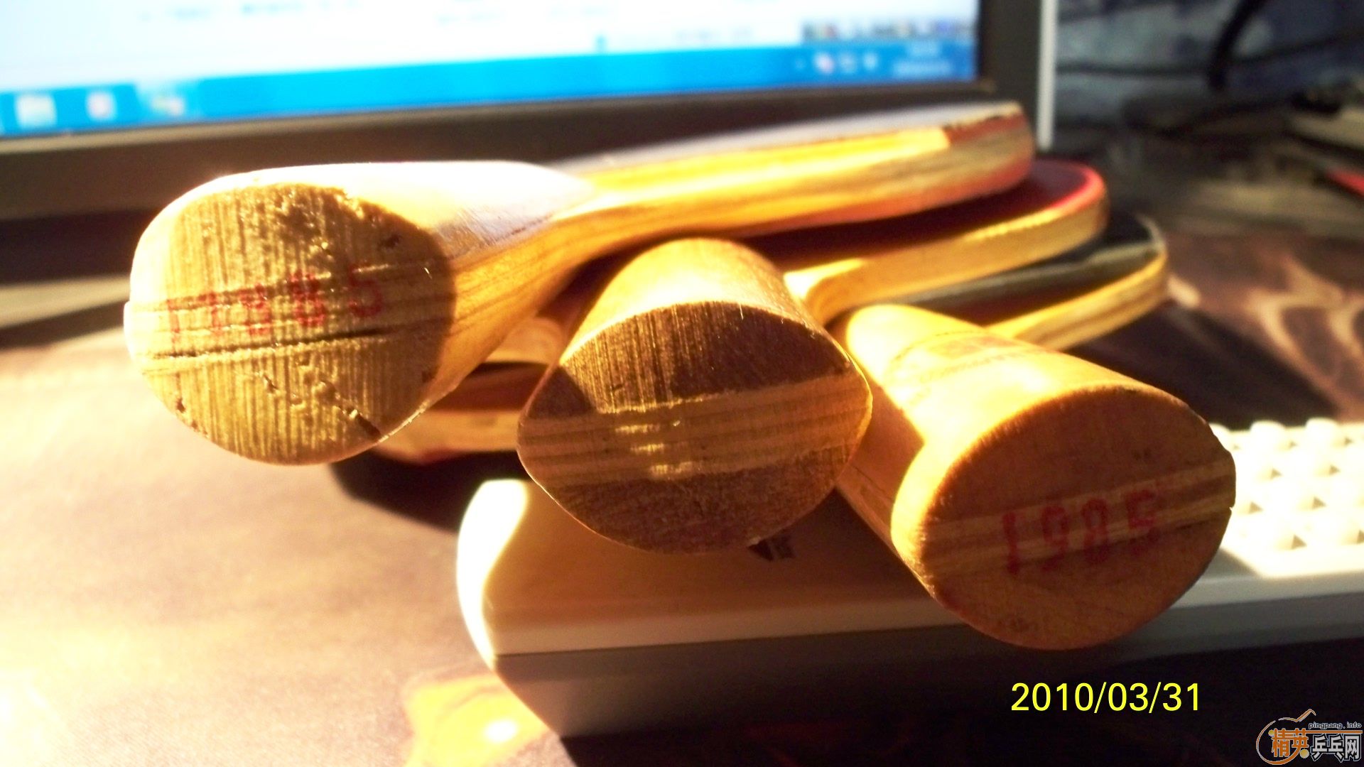 �����ɼ������Ϻ�˫ϲ3���͡�,�ʺ��ղ�! 50Ԫ1ֻ!