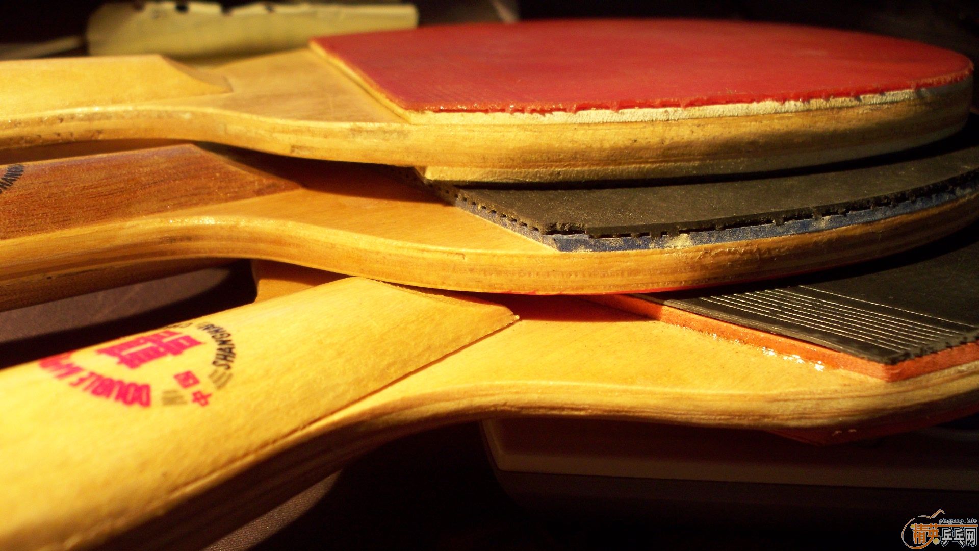 �����ɼ������Ϻ�˫ϲ3���͡�,�ʺ��ղ�! 50Ԫ1ֻ!