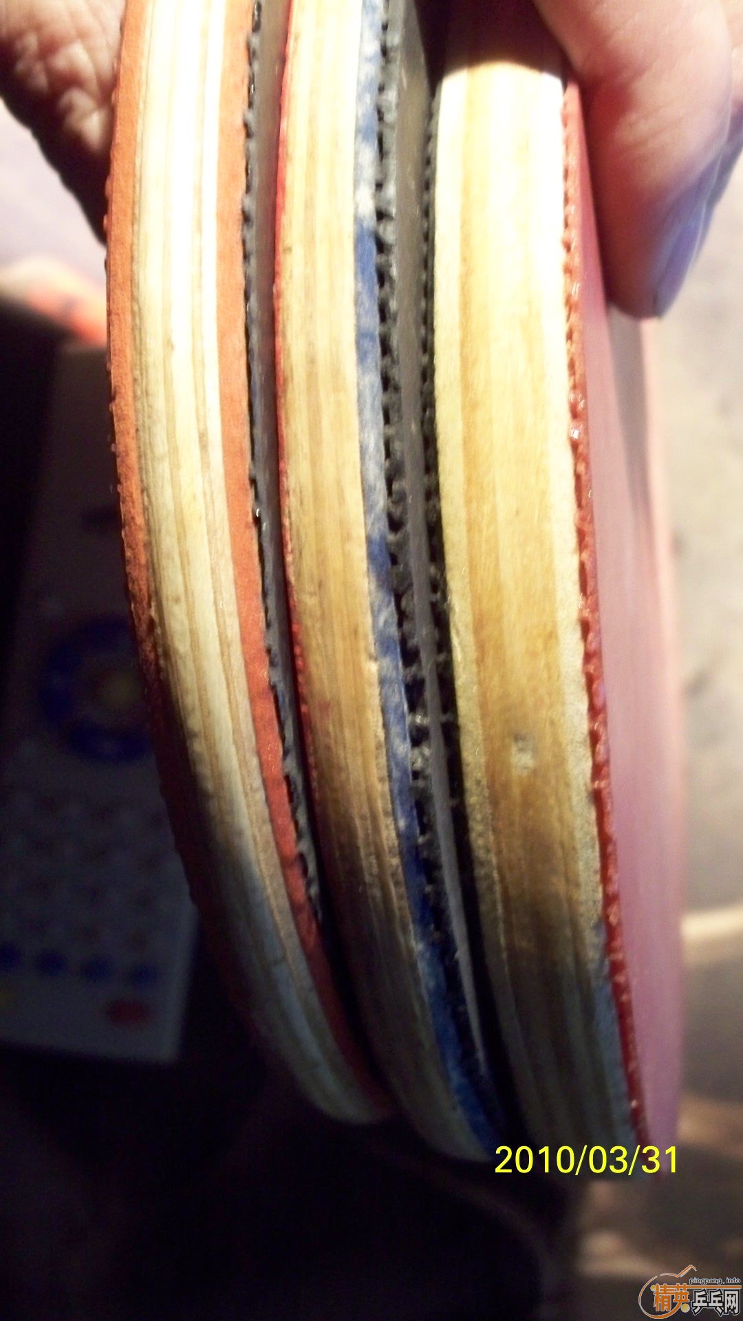 �����ɼ������Ϻ�˫ϲ3���͡�,�ʺ��ղ�! 50Ԫ1ֻ!