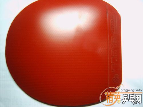 ���ѳ�һ��˹�ٿ��ĳ���ŵ��9.5�� ����һ�鰢����9�µ���3008��ֱ ����֧����