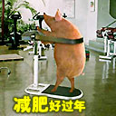 ƹľΪɶôð