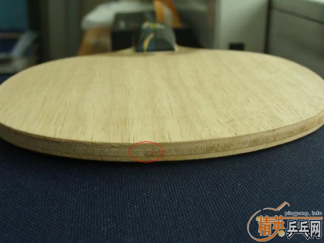9.9 09ʥ Stiga -165 Ϻ潻