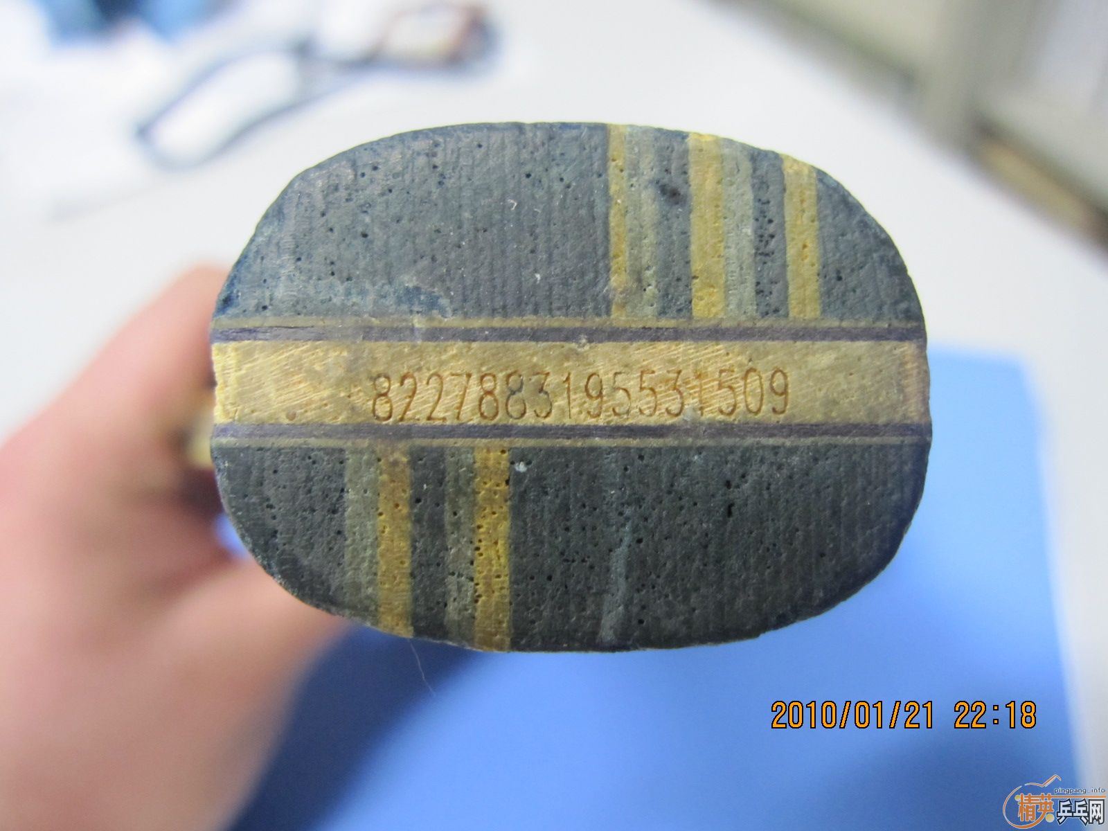 ����˹�ۿ���α��֤Ϊ��