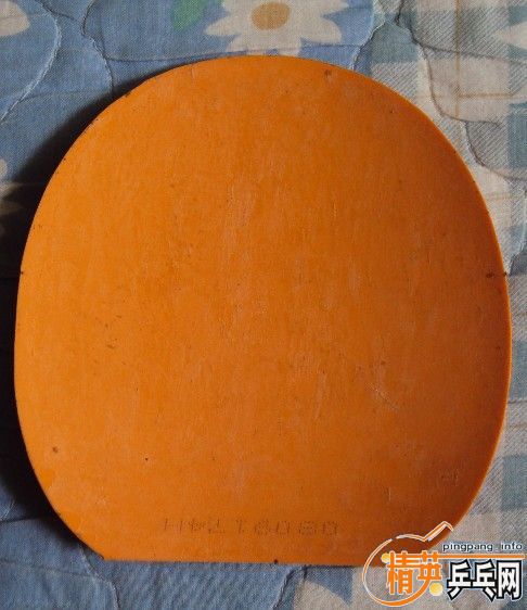 �����������׽���֧�������ס�