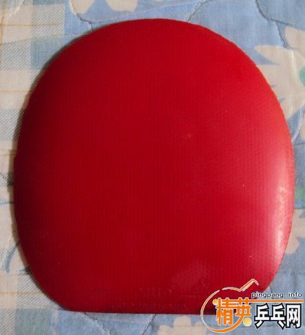 �����������׽���֧�������ס�