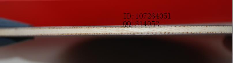 2010����ذ�ը����06������������Ѿ����棩