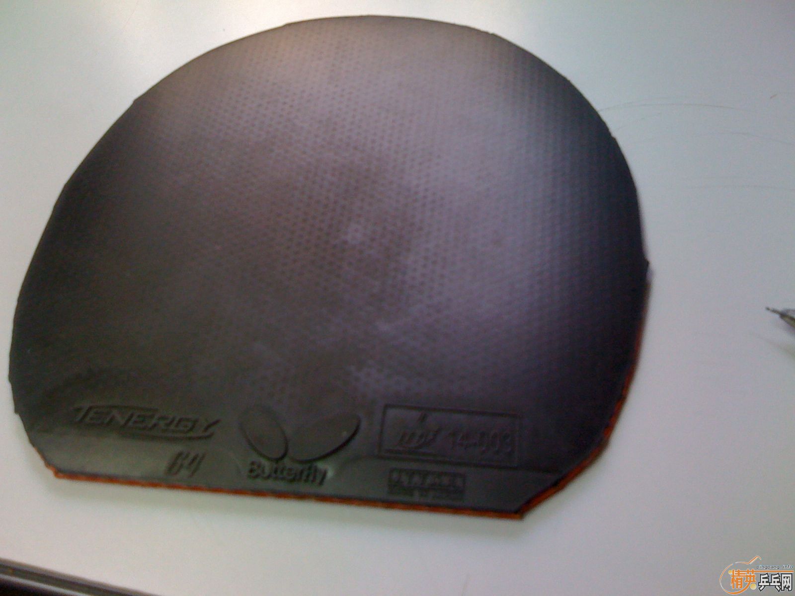 ����ѡ�����潻+֧������ֱ��ŷ����̼YCA  9.75�� 88�� �ļ�С�� 350Ԫ������T64��2.1/ZETA ��MAX/TACKIFIRE��2.1�׽���