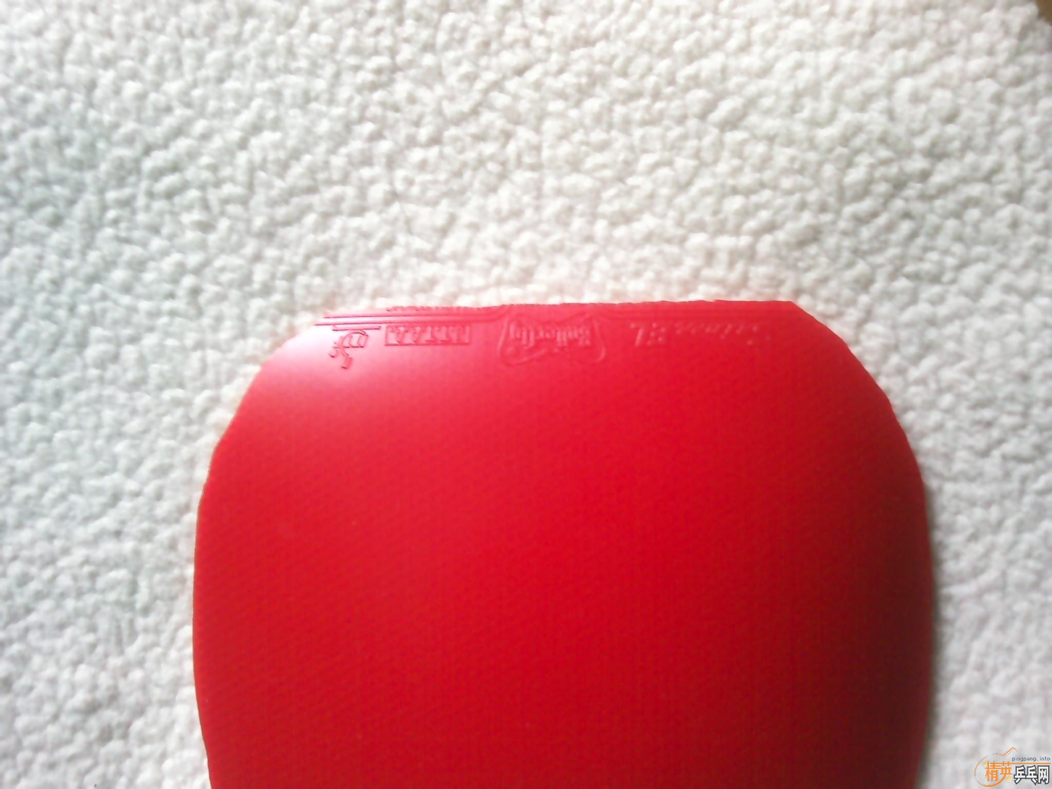 ��ɫEL  80����