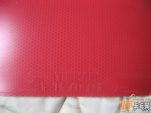 ֧���������º�ɫֱ����ͦ��������ŷ�׸�2