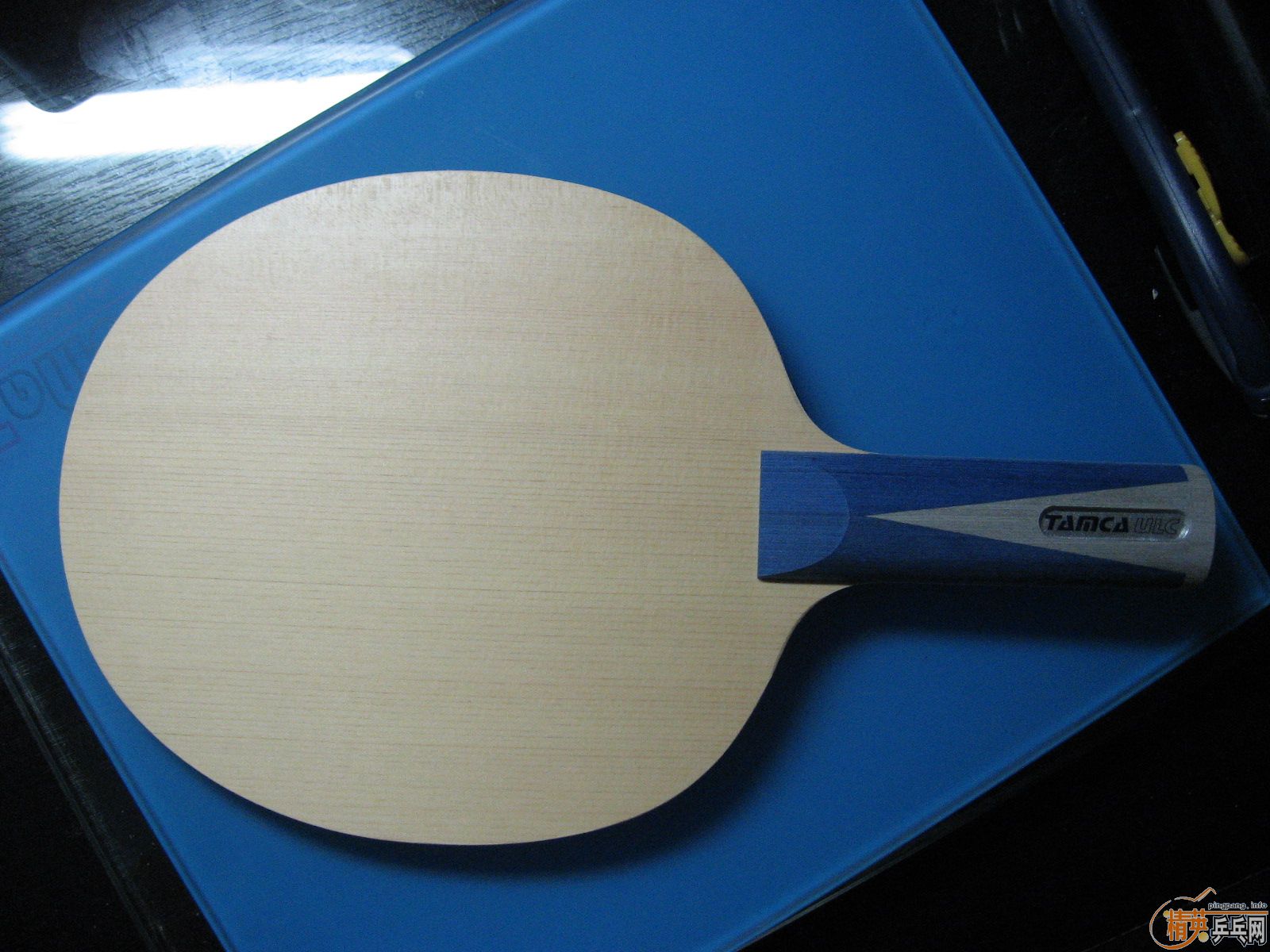 ��һ�ε�ISHLION������