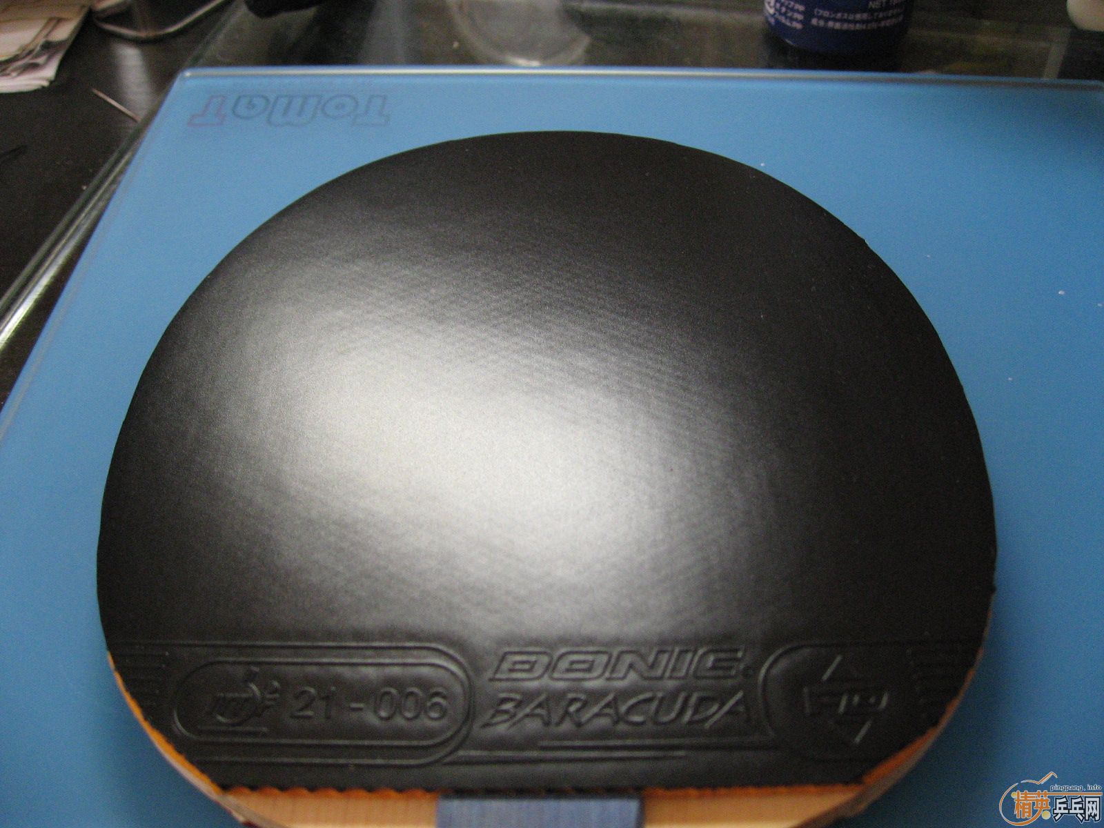 ��һ�ε�ISHLION������