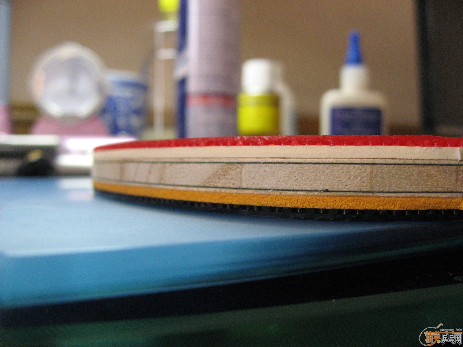 ��һ�ε�ISHLION������