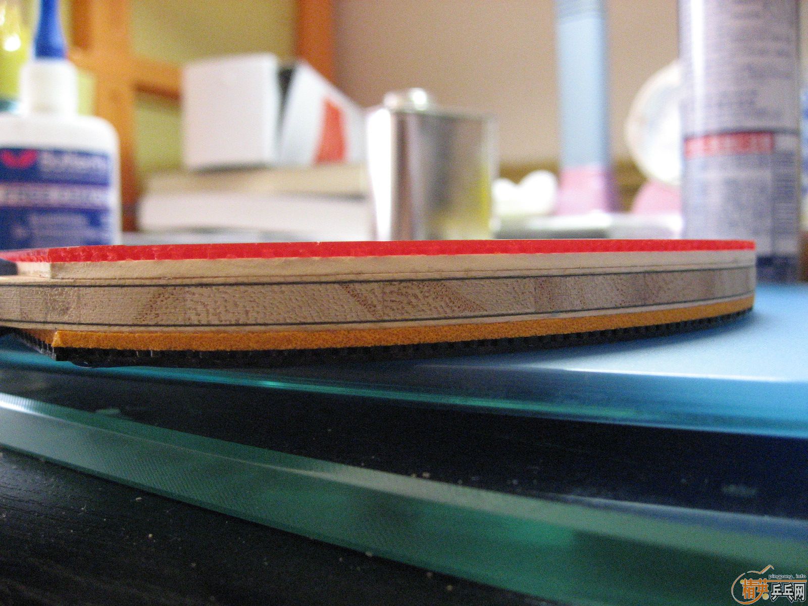 ��һ�ε�ISHLION������