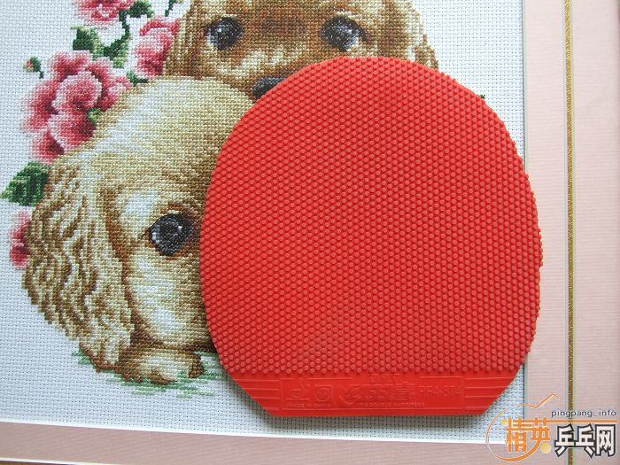 ��Щ�������������۸����ϸ��