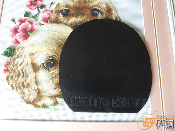 ��Щ�������������۸����ϸ��