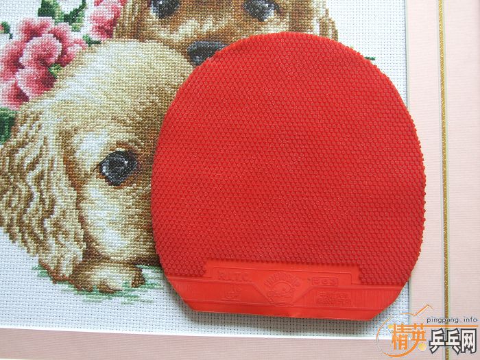 ��Щ�������������۸����ϸ��