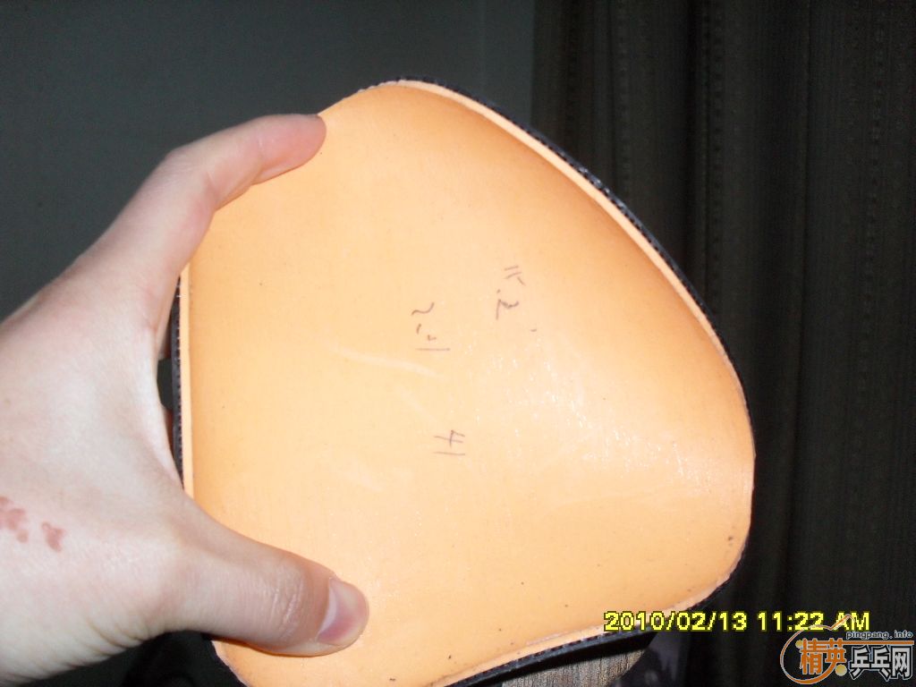 ����ǡ FL һֻ���׽�ŵ��