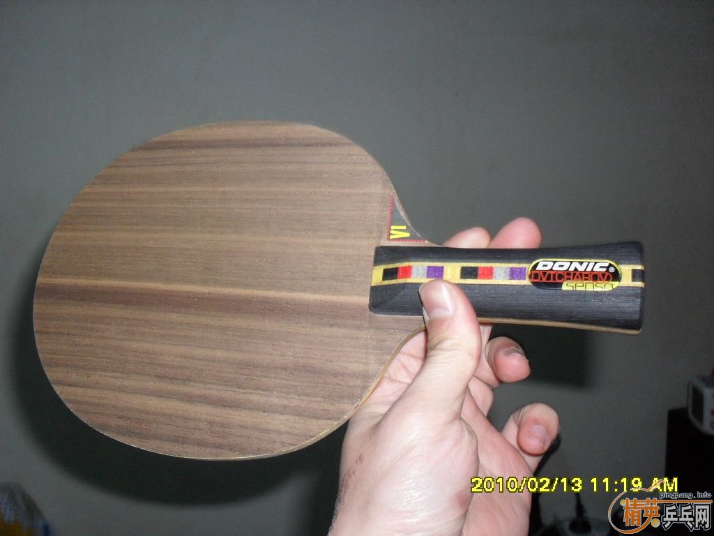 ����ǡ FL һֻ���׽�ŵ��