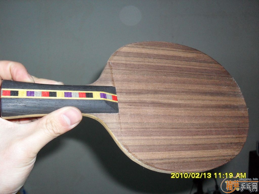 ����ǡ FL һֻ���׽�ŵ��