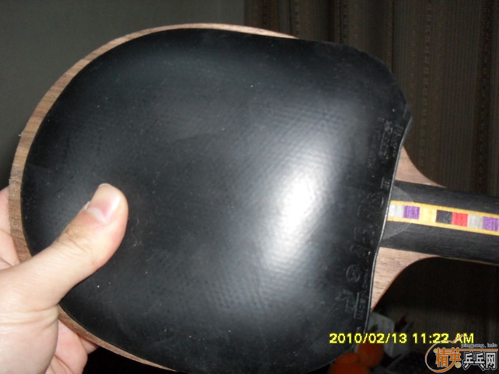 ����ǡ FL һֻ���׽�ŵ��