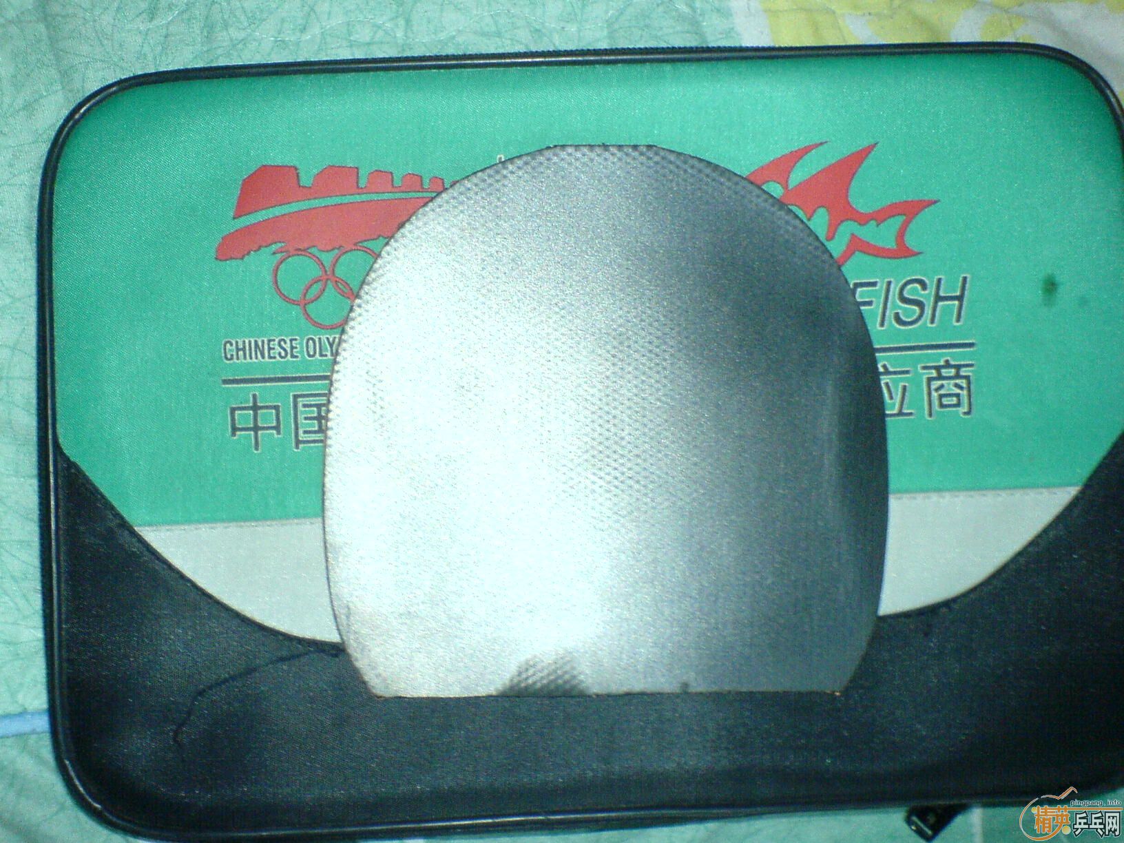 ������ƽ���׽���һ��10Ԫ��֧��֧����