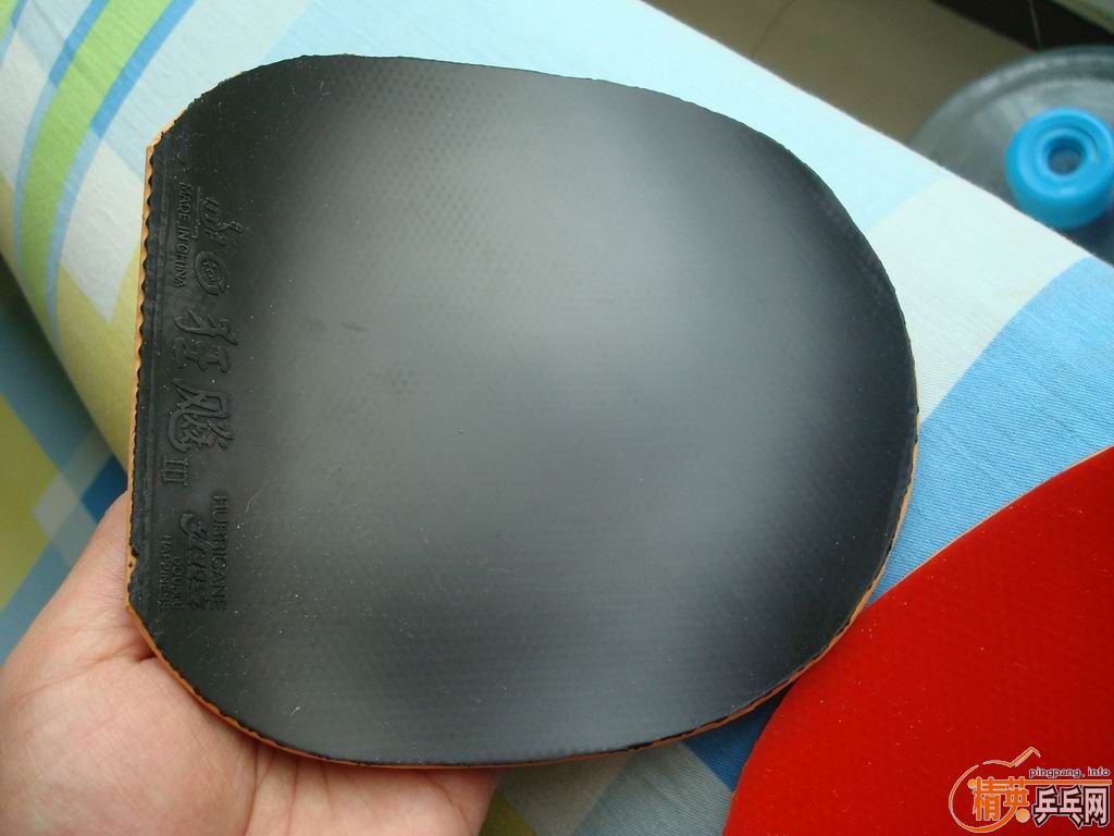 ������׽�