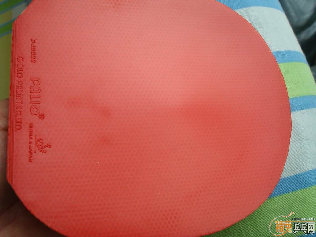 ������׽�