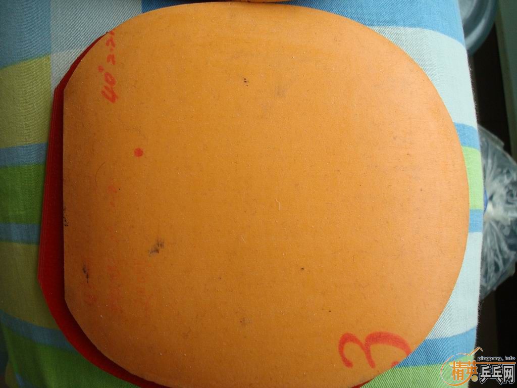 ������׽�