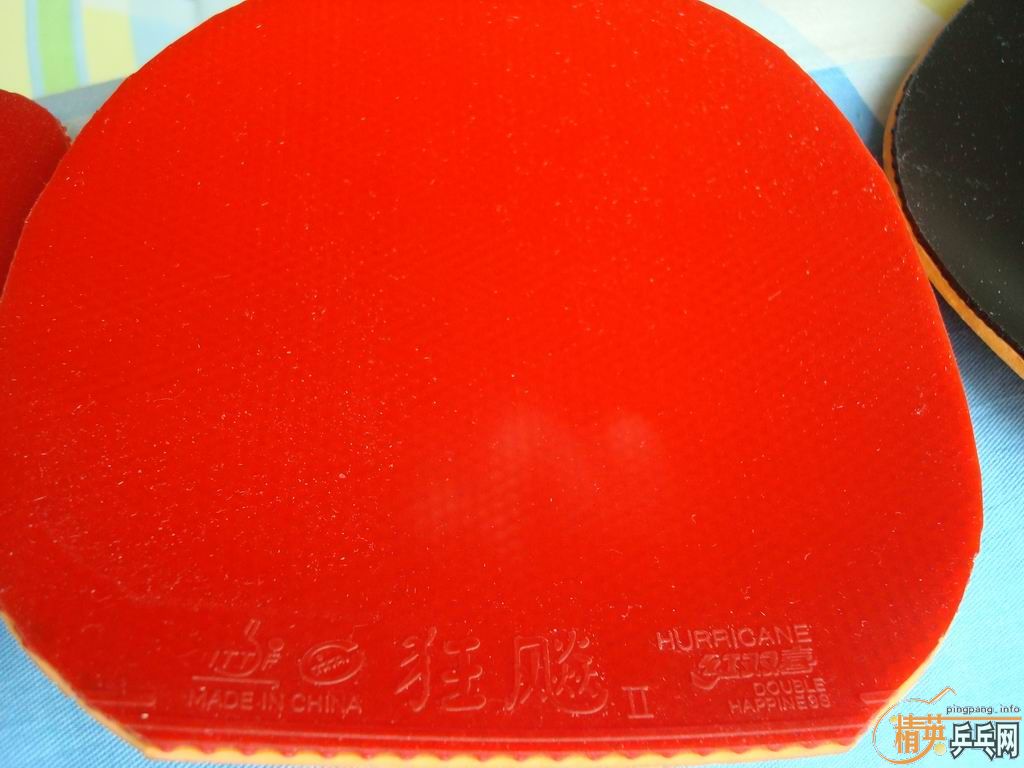 ������׽�