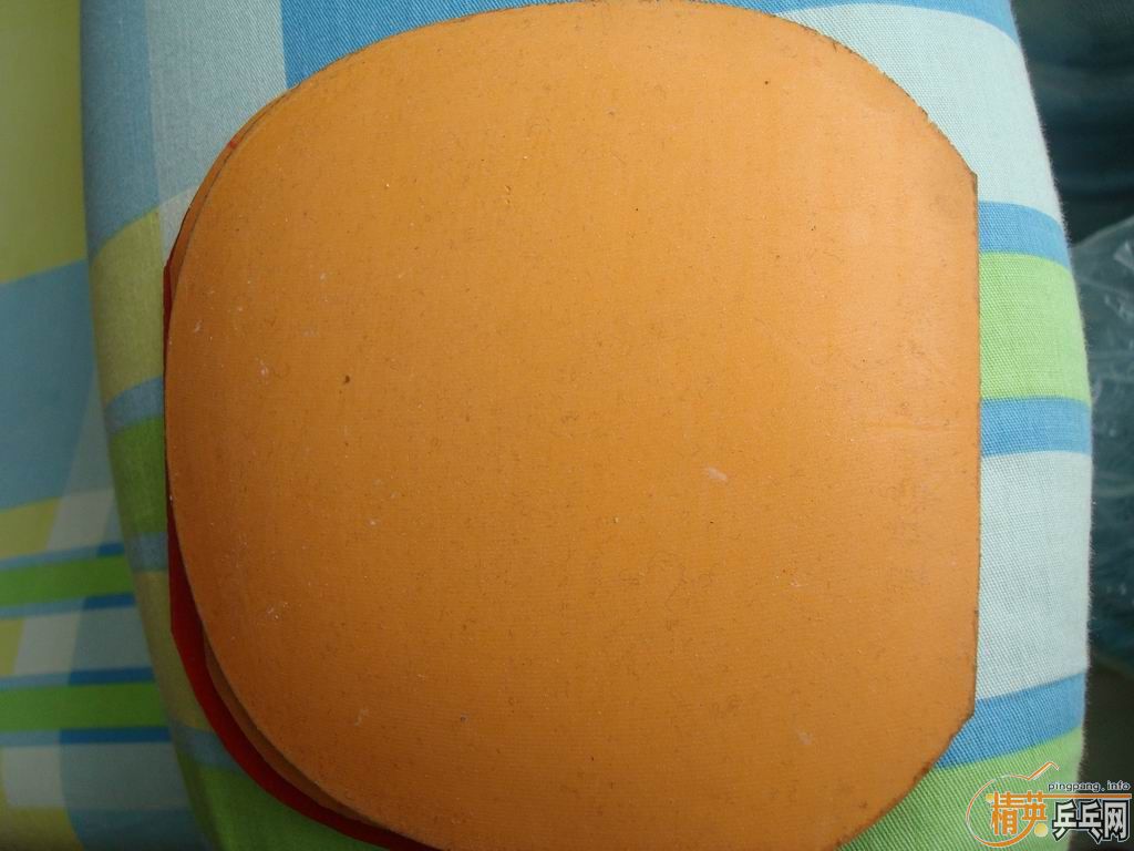 ������׽�