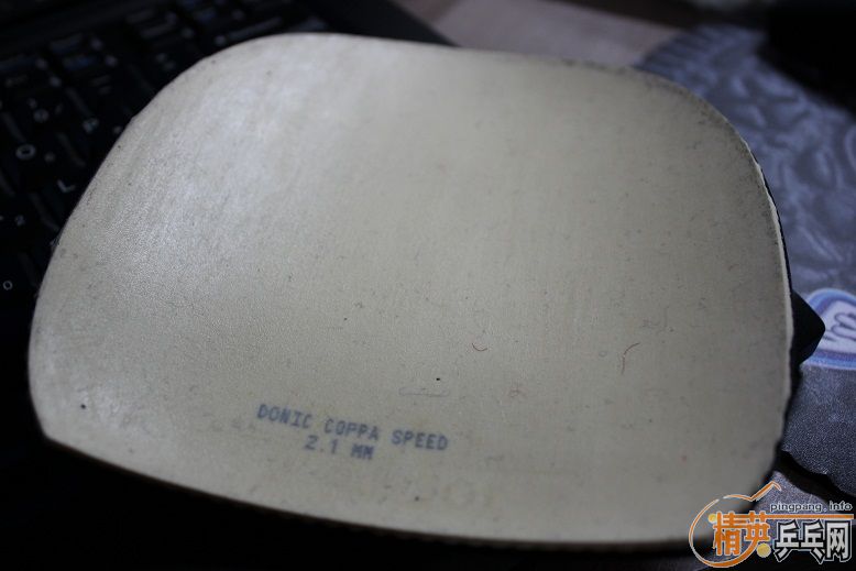 ��������coppa speed