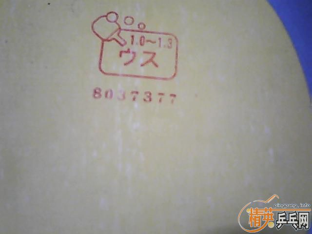 �����µ�TSP����