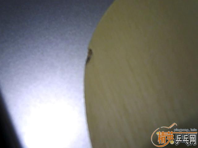 ���л�stiga  TD