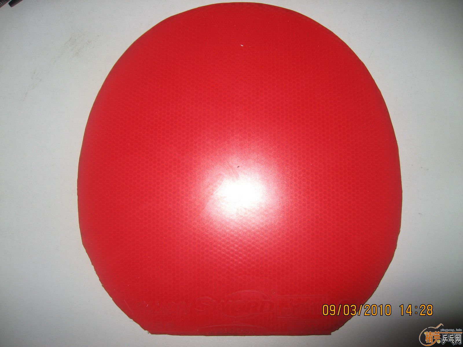 �ͼ۳����µ�ͻ�ơ�ʥ��ȹ����׽�