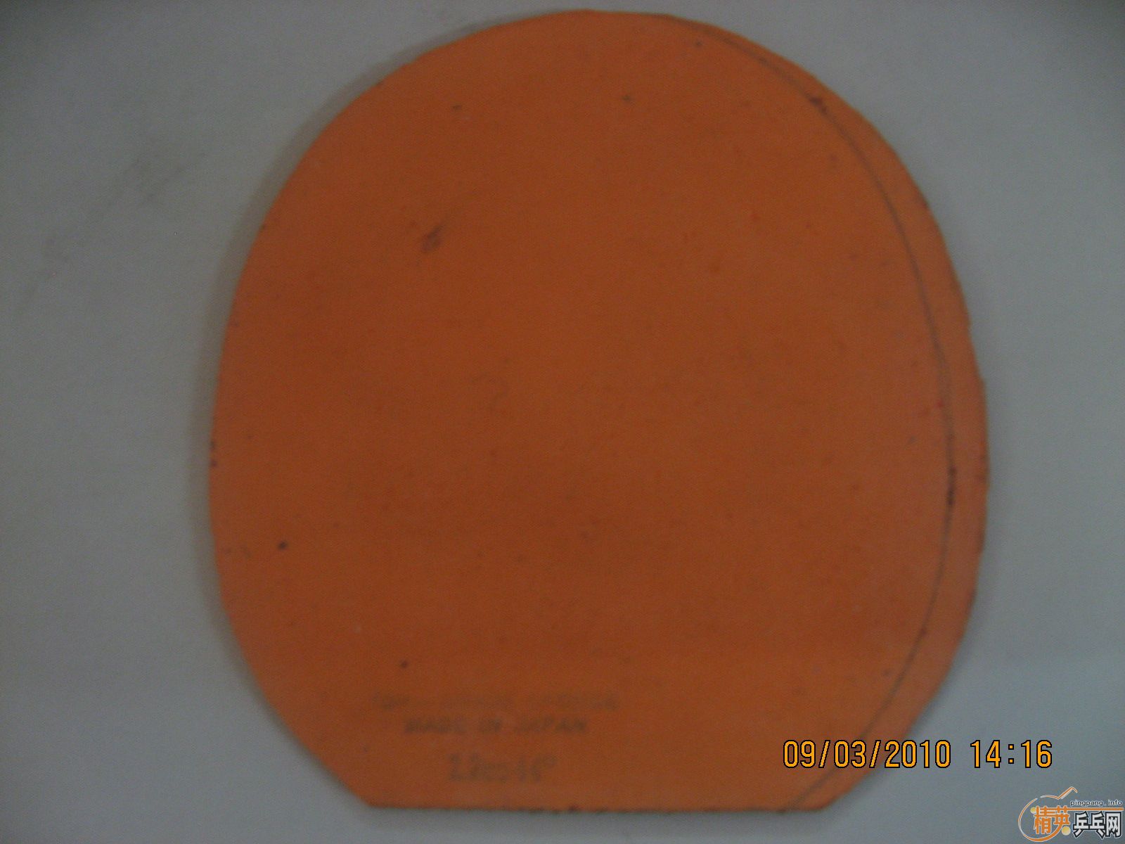 �ͼ۳����µ�ͻ�ơ�ʥ��ȹ����׽�