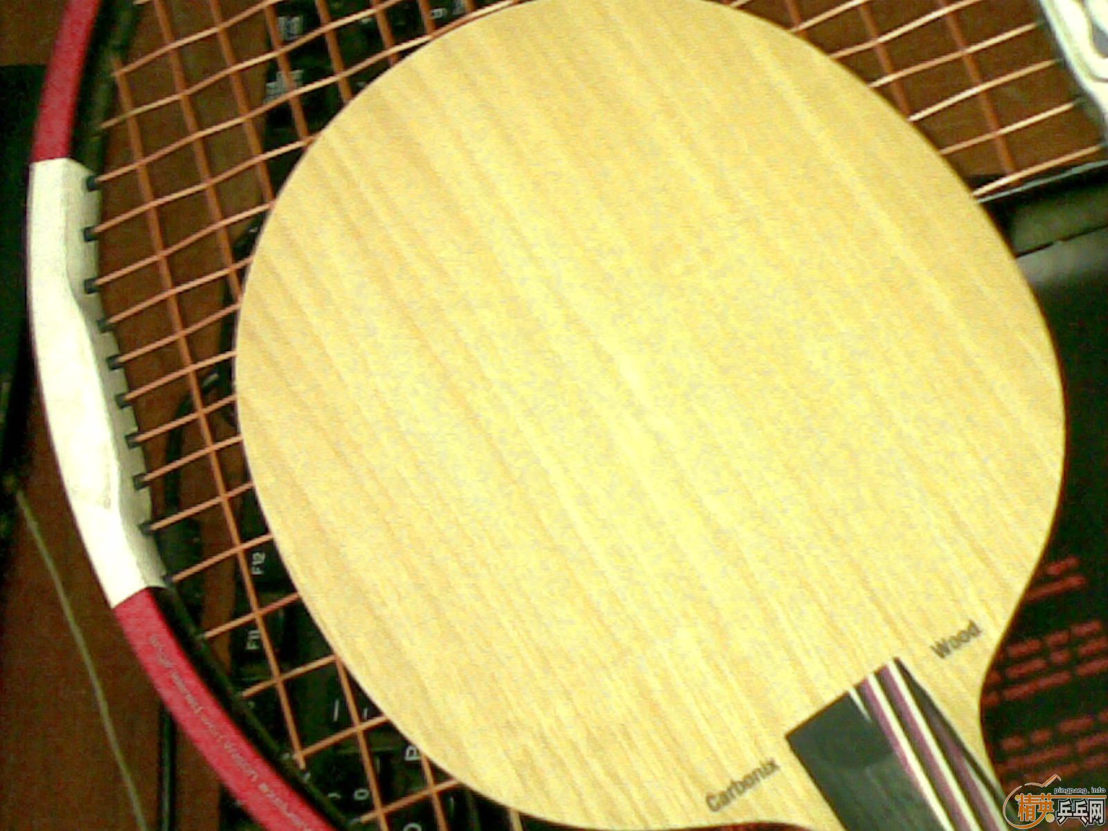 ����֧ȫ�µ���˹��̼