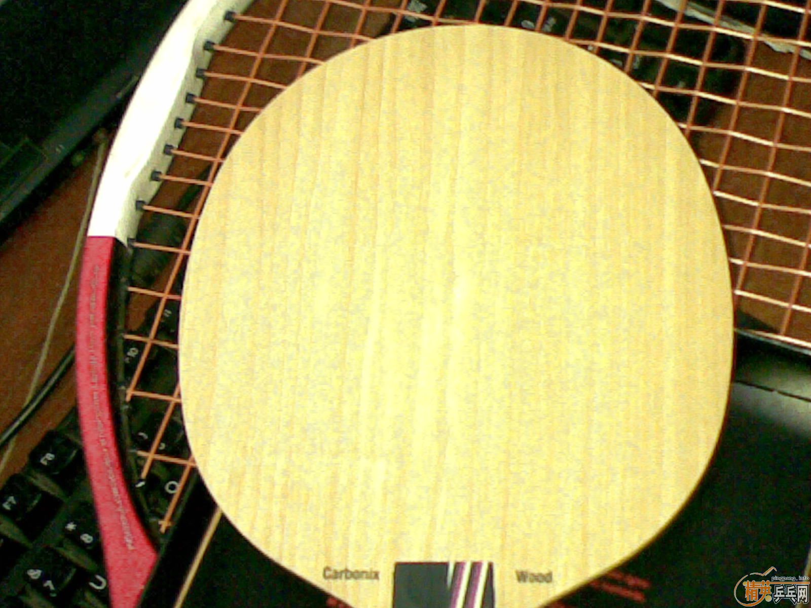 ����֧ȫ�µ���˹��̼